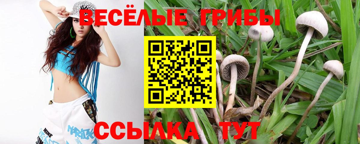 Тула  Псилоцибиновые грибы мухоморы  Галлюциногенные грибы GOLDEN TEACHER  Вход с VPN 