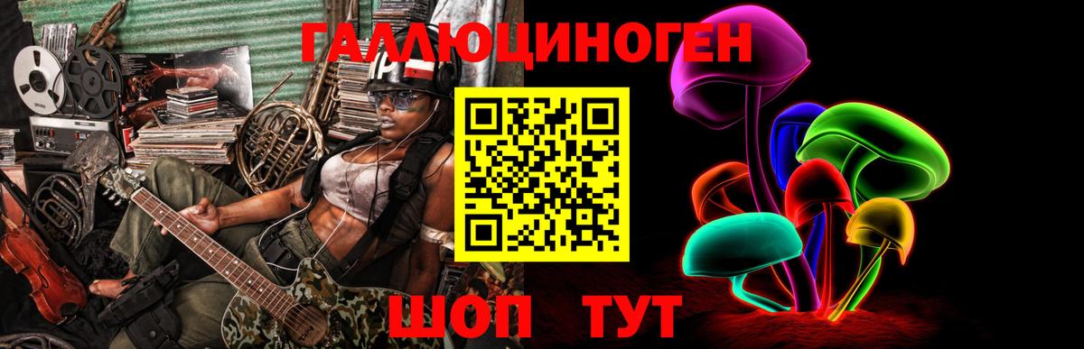 Псилоцибиновые грибы Psilocybe Тула