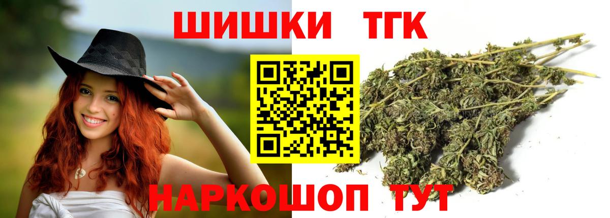 Конопля сатива Тула